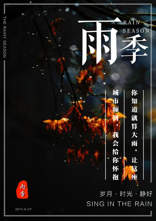 斯托阿斯应用科技大学国际商务文凭证书